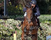 Apolloni Dama di Cuori GioCav2013 S6 7579 : Apolloni Gianluca, Campionati Italiani Giovani Cavalli, Cattolica, Dama di Cuori, ph Stefano Secchi ©